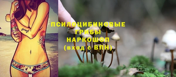 ешки Балахна