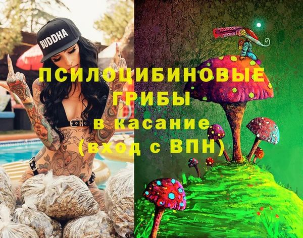 ешки Балахна